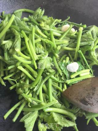 Stir-fried Pumpkin Vine recipe