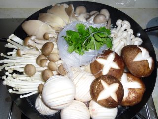 Miscellaneous Hot Pot recipe