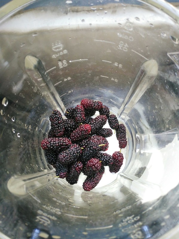 Mulberry Yogurt recipe