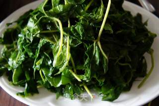 Fried Acanthopanax Leaves recipe