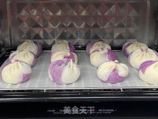 Two-color Pork Buns with Soft Fillings on The Dough are Super Delicious! recipe