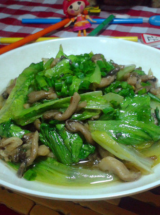 Stir-fried Lettuce with Xiuzhen Mushroom