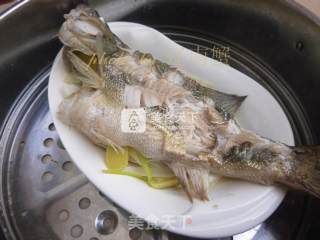 Ginger Perch recipe