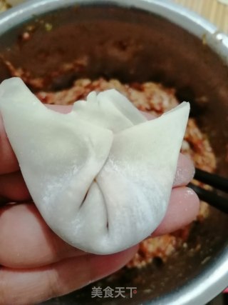 Wonton recipe