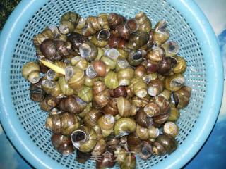 Fried Snails recipe