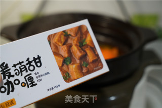 Curry Chicken with Double Vegetables recipe