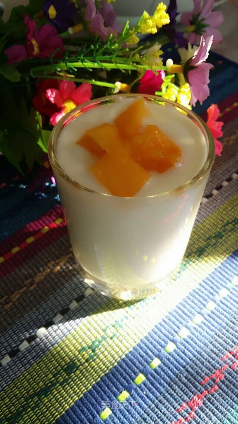 #trust之美#make Your Own Yogurt recipe