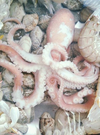 Halal Octopus