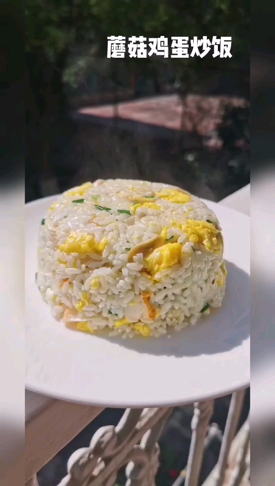 Fried Rice with Mushroom and Egg