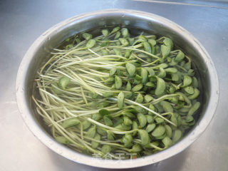 Stir-fried Black Bean Sprouts recipe