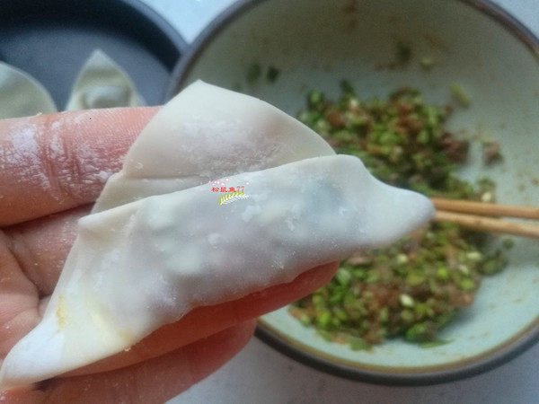 Beef Garlic Wonton recipe