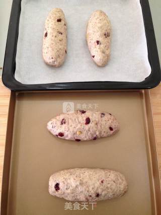 Healthy Delicacy-cranberry Rye Soft European recipe