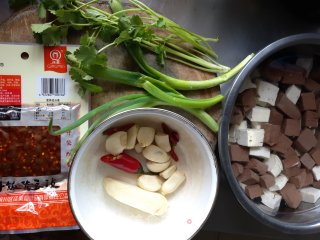 Duck Blood Roasted Tofu recipe
