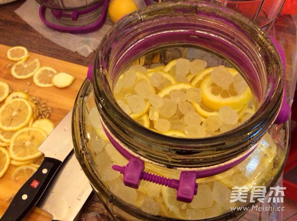 Homemade Lemon Enzyme recipe