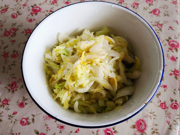 Mixed Fresh Cabbage recipe