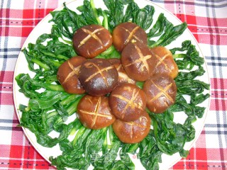 Mushroom Rape recipe