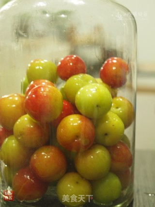 Plum Wine: "zhu Se Liquor" from Ancient Recipes recipe
