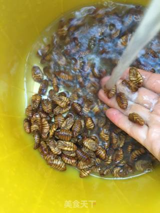 Dry Stir-fried Silkworm Pupa recipe