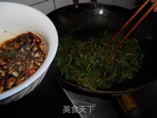 Portulaca Oleracea recipe