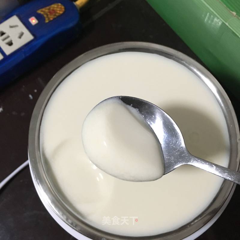 Plain Yogurt recipe