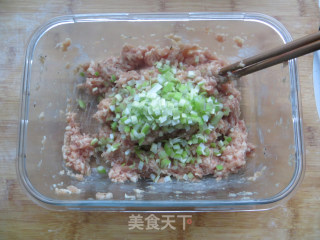 【non-fried Roast Meat Balls】--crispy Outside and Tender Inside recipe