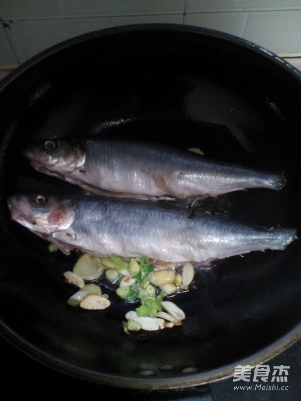 Beer Grilled Herring recipe