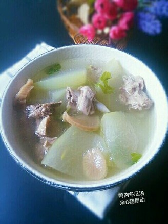 Duck and Winter Melon Soup
