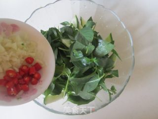 Nepeta Mixed with Cucumber recipe