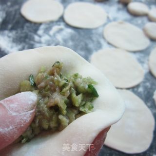 Scallion Meat Dumplings recipe