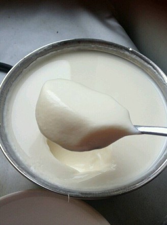 Homemade Yogurt recipe