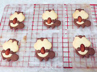 Cute Animal Biscuit Group recipe