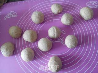 Whole Wheat Fancy Bread recipe