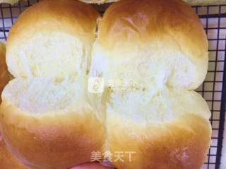 Polish Seed Honey Bean Meal Buns recipe