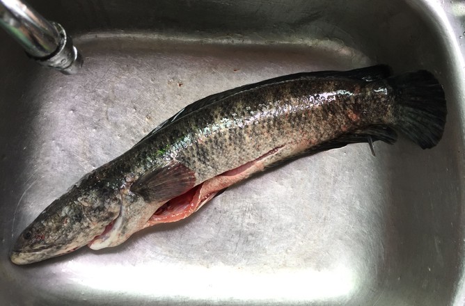 Boiled Snakehead Fish with Fat Intestine recipe
