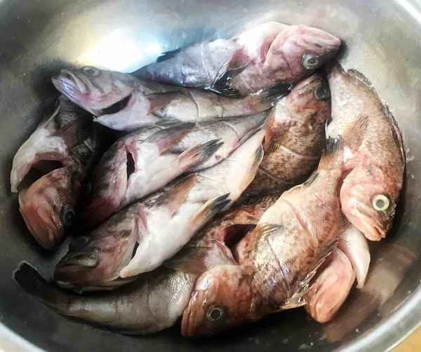 Fried Snakehead Fish recipe