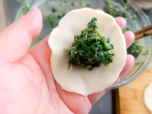 Alfalfa Dumplings recipe