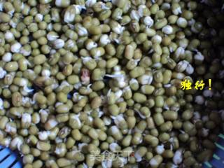 Simple and Safe to Send Mung Bean Sprouts Yourself recipe