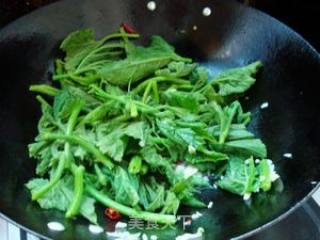 Stir-fried Pumpkin Vine with Garlic recipe