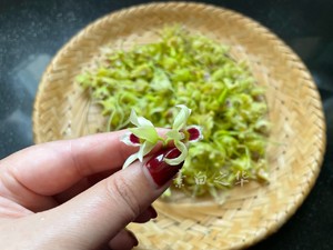 Pure Vegetarian Salad with Dendrobium Flowers recipe