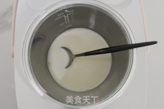 Rice Cooker Version of Children's Yogurt recipe