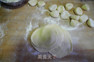 Chinese Cabbage Dumplings recipe