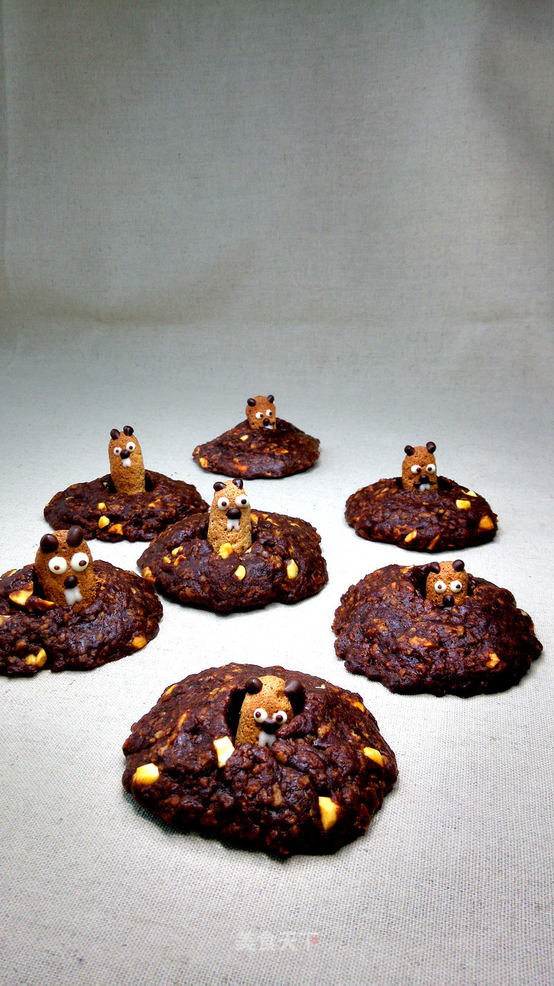 #aca三session Baking Star Competition# Hamster Cocoa Oatmeal Biscuits