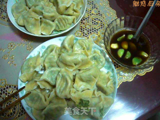 Vegetable Meat Dumplings recipe