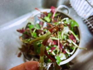 #春野菜# Root and Leaves in Cold Seasoning recipe