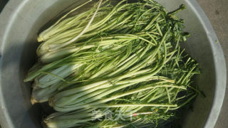 Homemade Sour Pickles recipe