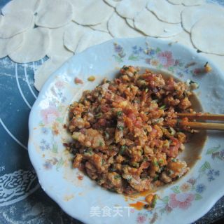 Fish and Sichuan Style Dumplings recipe