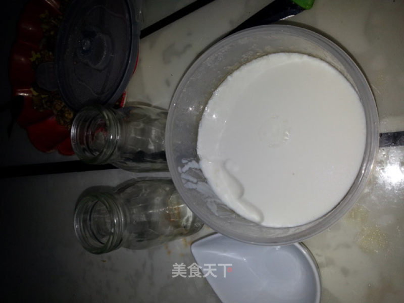 No Yogurt from The Yogurt Maker recipe