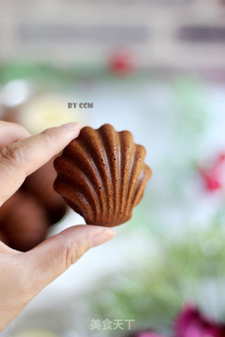 Chocolate Mocha Madeleine recipe