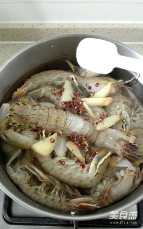 Brine Shrimp recipe