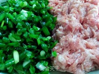 Chive Pork Pie recipe